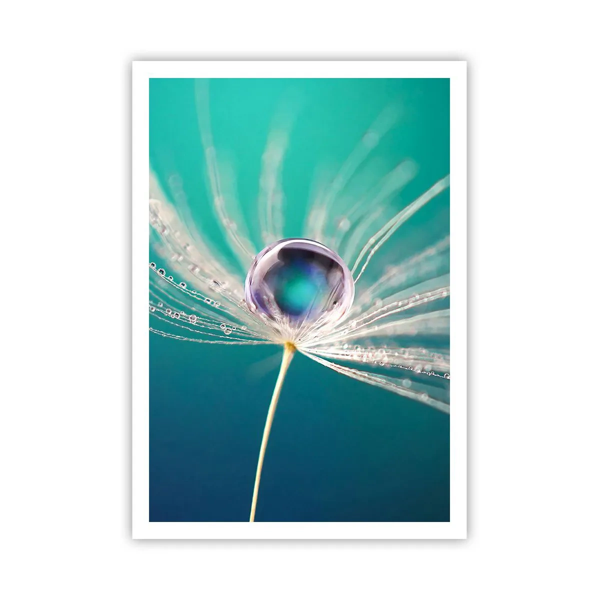 Poster - Attimo mistico - 70x100 cm