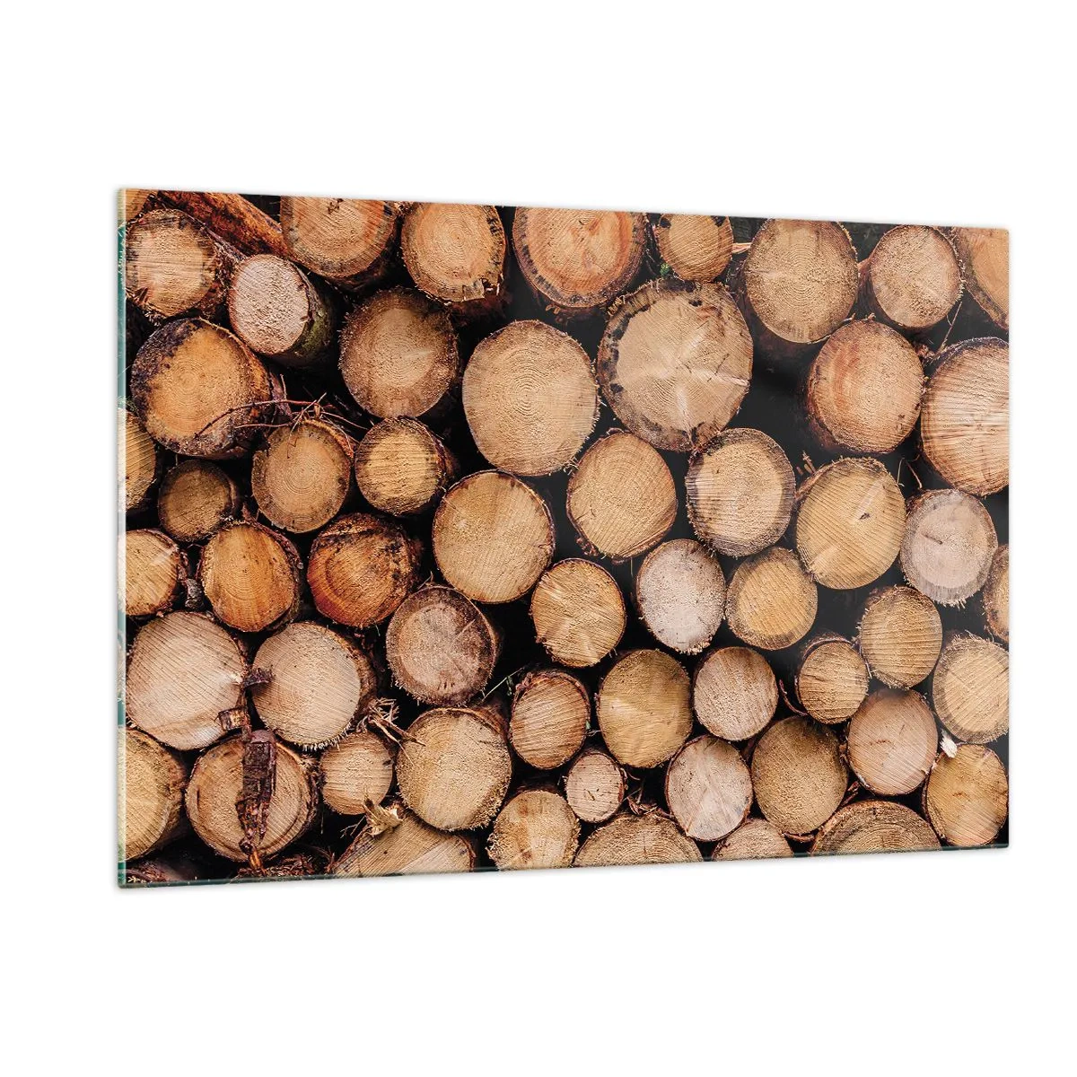 Quadro su vetro - Tronchi d'albero disposti verticalmente con anelli di crescita visibili - 120x80cm - Nuovo inizio - Decorazione murale moderna per soggiorno e camera da letto ARTTOR