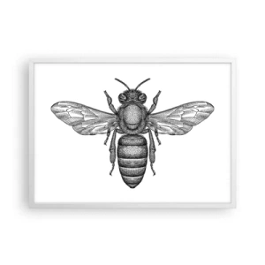 Poster in cornice bianca - Ritratto d'insetto - 70x50 cm