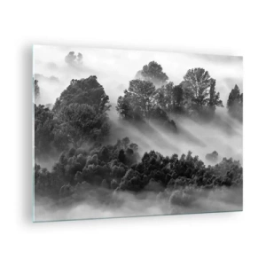Quadro su vetro - Foresta nebbiosa alla luce del sole in bianco e nero - 70x50cm - Risveglio dal sonno - Decorazione murale moderna per soggiorno e camera da letto ARTTOR