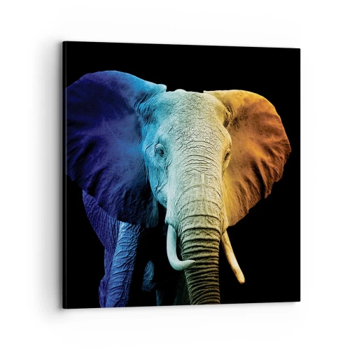 Quadro su tela - Stampe su Tela - Eccentrico, non strano - 70x70 cm