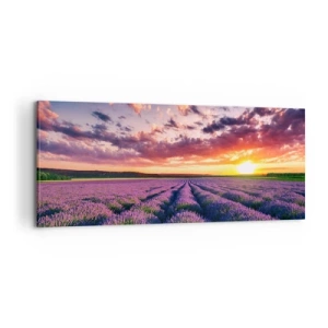 Quadro su tela - Stampe su Tela - Il mondo della lavanda - 100x40 cm