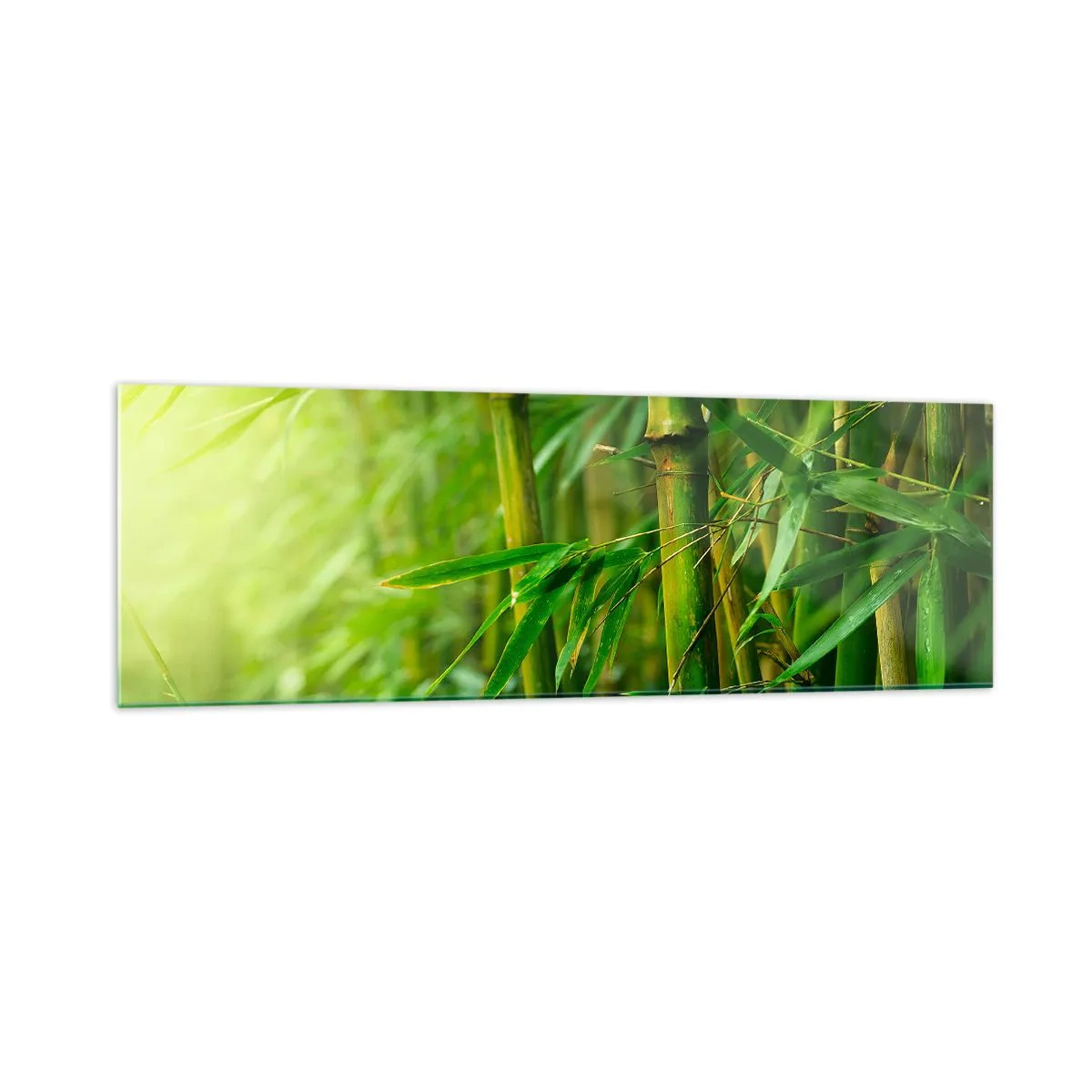 Quadro su vetro - Foresta di bambù verde in luce soffusa - 160x50cm - Conoscere il verde in sé - Decorazione murale moderna per soggiorno e camera da letto ARTTOR