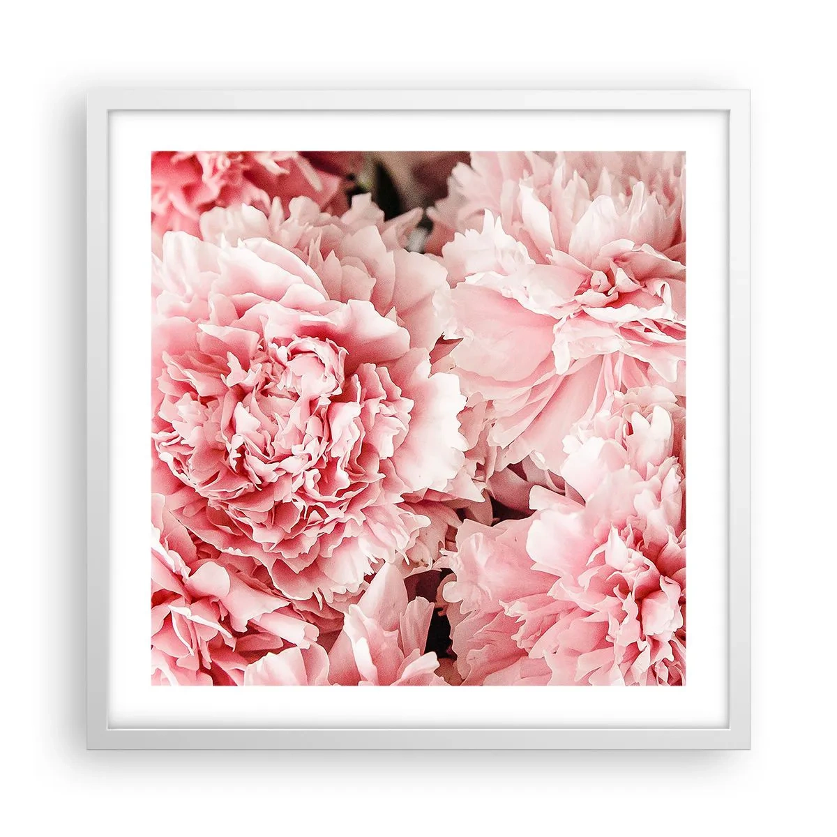 Poster in cornice bianca - Sogno rosa - 50x50 cm