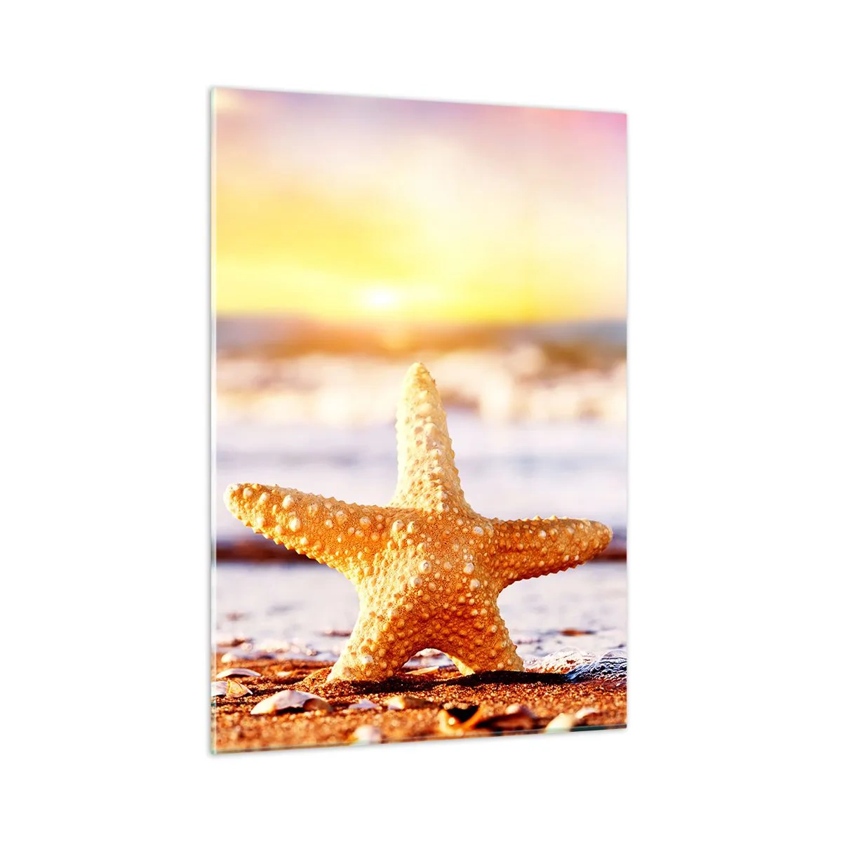 Quadro su vetro - Stelle marine sulla spiaggia alla luce del sole al tramonto - 50x70cm - Regalo del mare - Decorazione murale moderna per soggiorno e camera da letto ARTTOR
