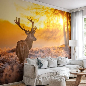 Fotomurali Autoadesivo Deluxe Sticker - Il re del bosco estivo - Paesaggio, Cervo, Natura - 300x210 cm