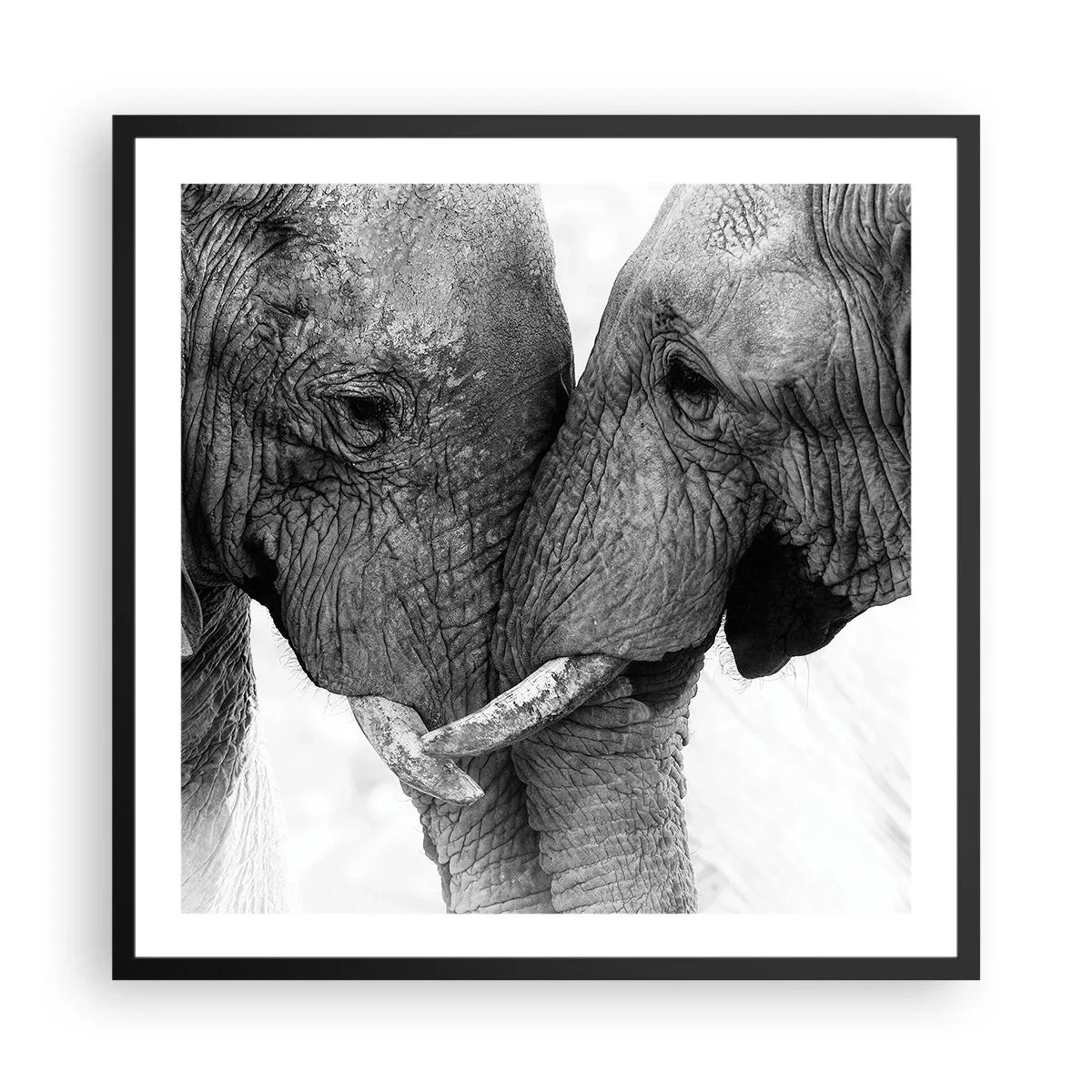 Poster in cornice nera - Dichiarazione sincera - 60x60 cm