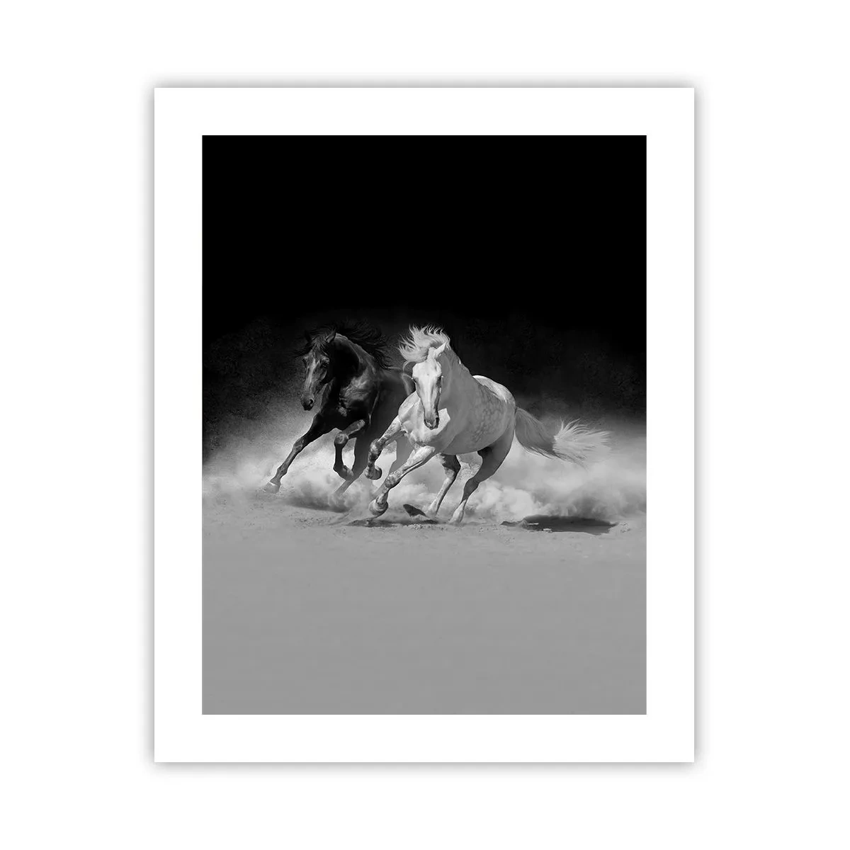 Poster - Il galoppo della libertà - 40x50 cm