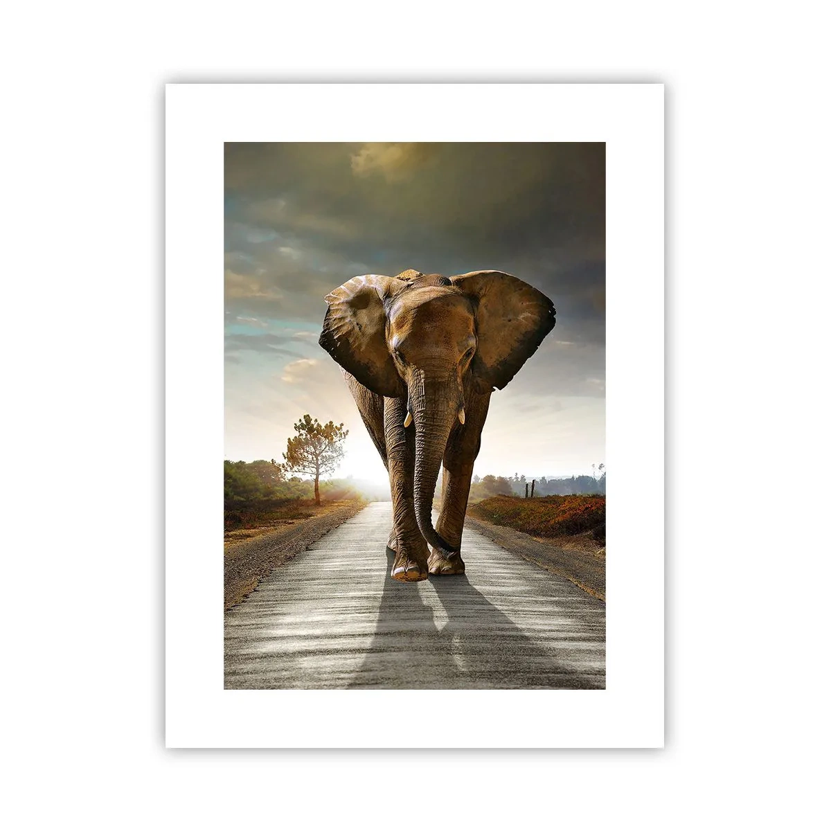 Poster - E non nel negozio di cristalli - 30x40 cm