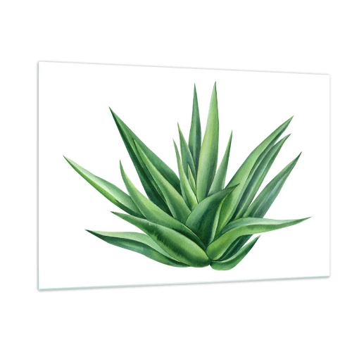 Quadro su vetro - Una pianta verde con foglie carnose su uno sfondo bianco - 120x80cm - Verde - forza - vita - Decorazione murale moderna per soggiorno e camera da letto ARTTOR