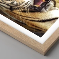 Rovere chiaro