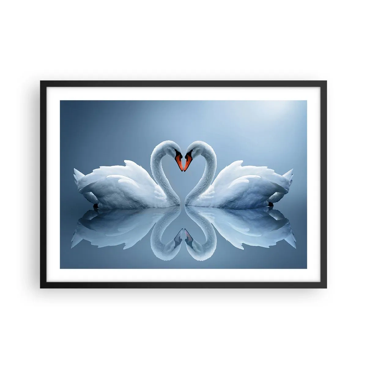 Poster in cornice nera - Due cigni formano un cuore su una superficie calma dell'acqua - 70x50cm - Il tempo dell'amore - Decorazione murale moderna per soggiorno e camera da letto ARTTOR