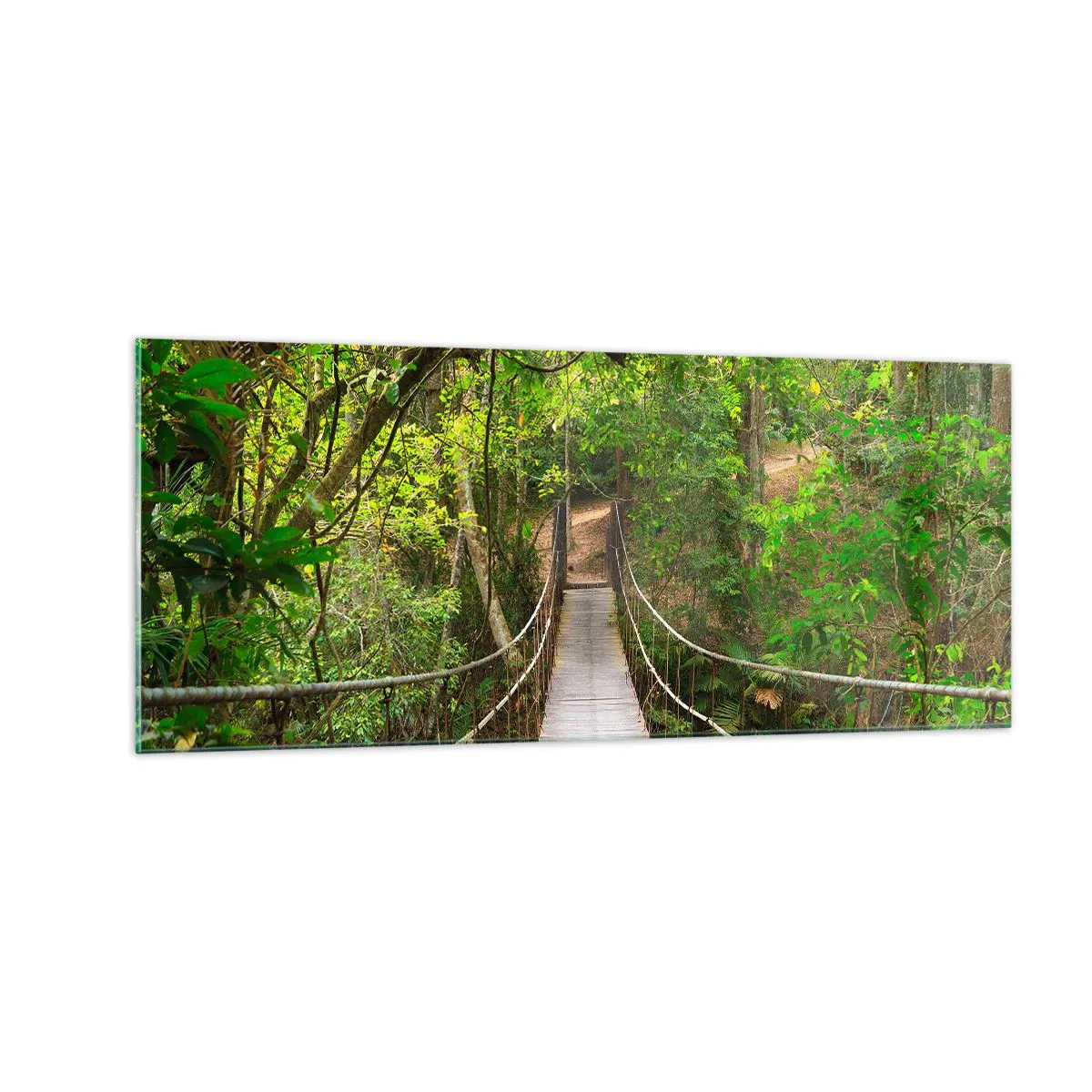 Quadro su vetro - Perché nel giardino crescono i rampicanti - 100x40 cm