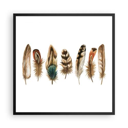Poster in cornice nera - Composizione di piume - 60x60 cm