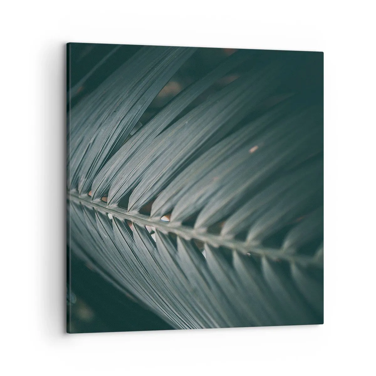 Quadro su tela - Stampe su Tela - La precisione della natura - 50x50 cm