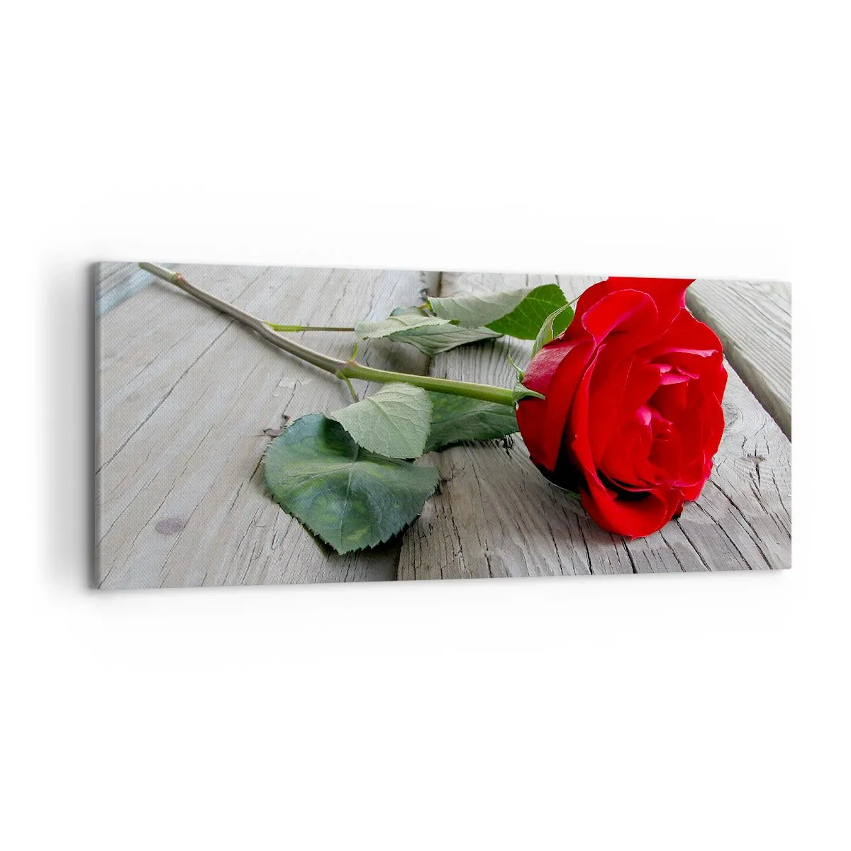 Quadro su tela - Stampe su Tela - Rosa rossa su uno sfondo di legno - 120x50cm - Studio in scarlatto - Decorazione murale moderna per soggiorno e camera da letto ARTTOR