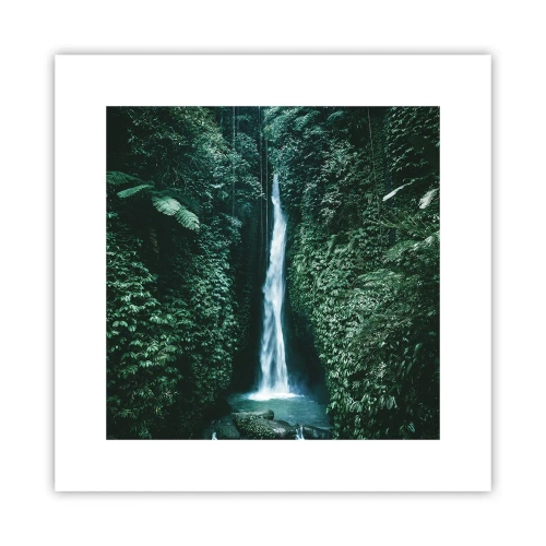 Poster - Terme tropicali - 30x30 cm