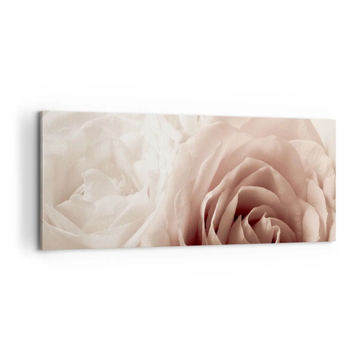 Quadro su tela - Stampe su Tela - Nel cuore della rosa - 100x40 cm