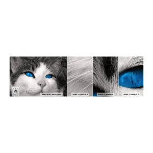 Campione di Fotomurale Adesivo Deluxe Sticker - Insoliti occhi azzurri - Animali, Gatto, Occhi azzurri - 100x30 cm