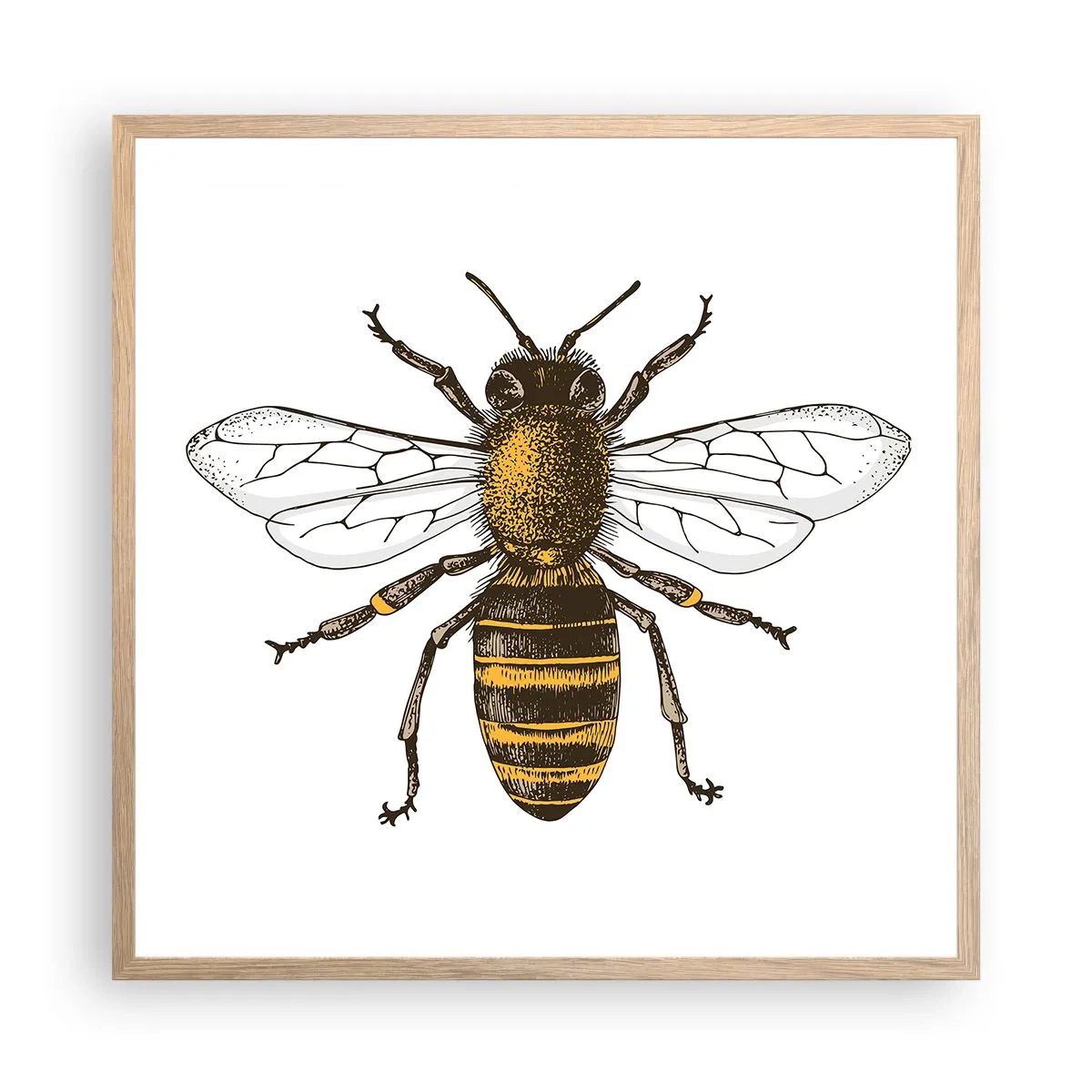 Poster in cornice rovere chiaro - Bella e buona - 60x60 cm