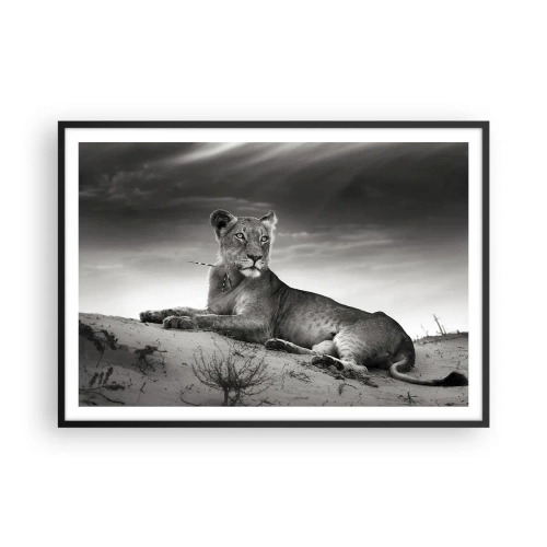 Poster in cornice nera - Ritratto in bianco e nero di una leonessa nella savana - 100x70cm - Il riposo della regina del deserto - Decorazione murale moderna per soggiorno e camera da letto ARTTOR