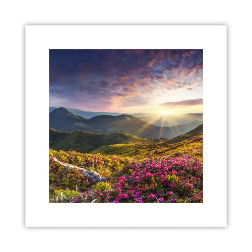 Poster - La freschezza di un mattino sui monti - 30x30 cm