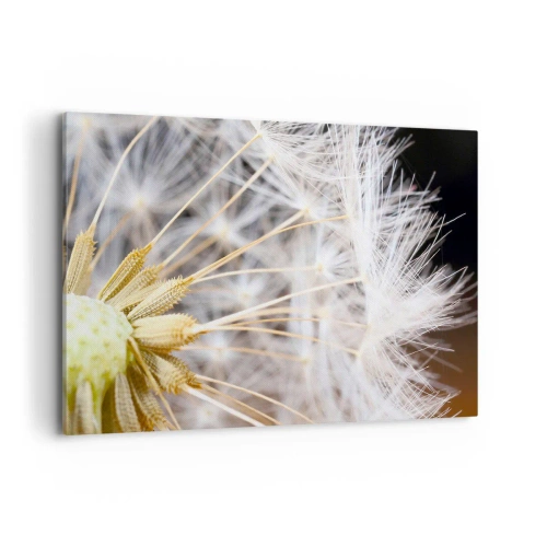 Quadro su tela - Stampe su Tela - Macrofotografia di un dente di leone con semi delicati - 100x70cm - Subito prima del decollo - Decorazione murale moderna per soggiorno e camera da letto ARTTOR
