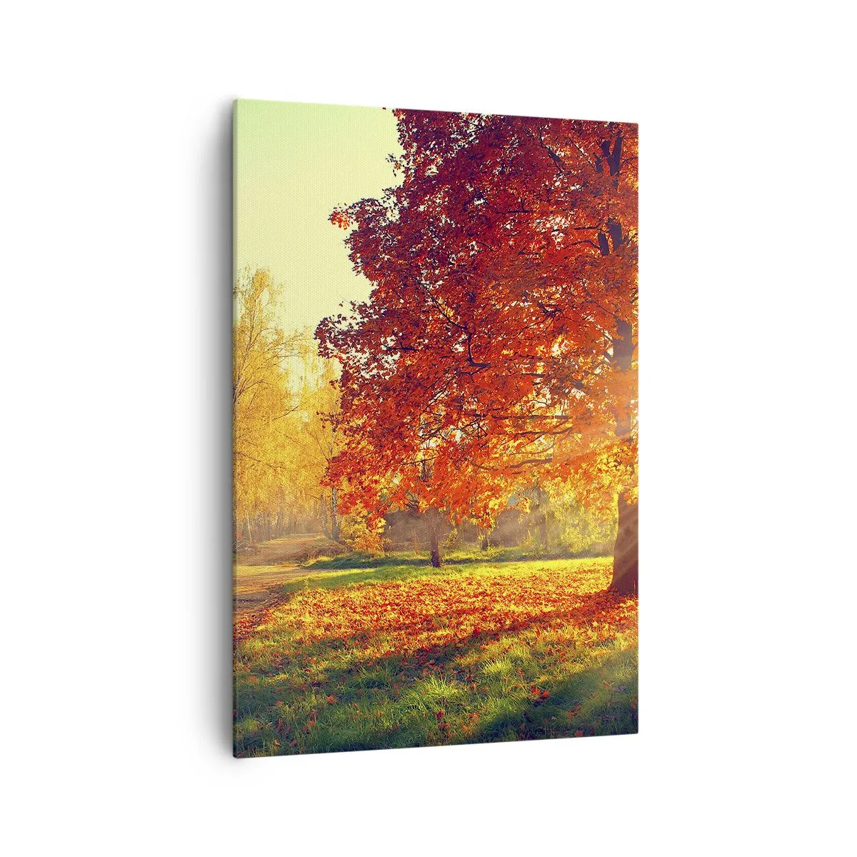 Quadro su tela - Stampe su Tela - Parco autunnale illuminato dalla luce del sole - 70x100cm - Rosso è bello - Decorazione murale moderna per soggiorno e camera da letto ARTTOR