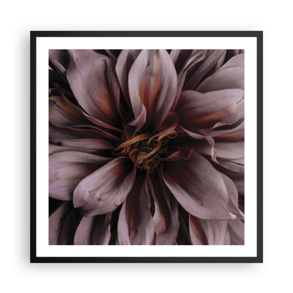 Poster in cornice nera - Cuore d'aprile - 60x60 cm