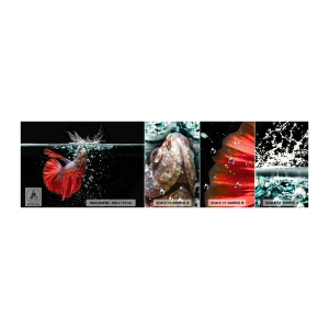 Campione di Fotomurale Adesivo Deluxe Sticker - Hai tre desideri - Astrazione, Acquario, Pescare - 100x30 cm