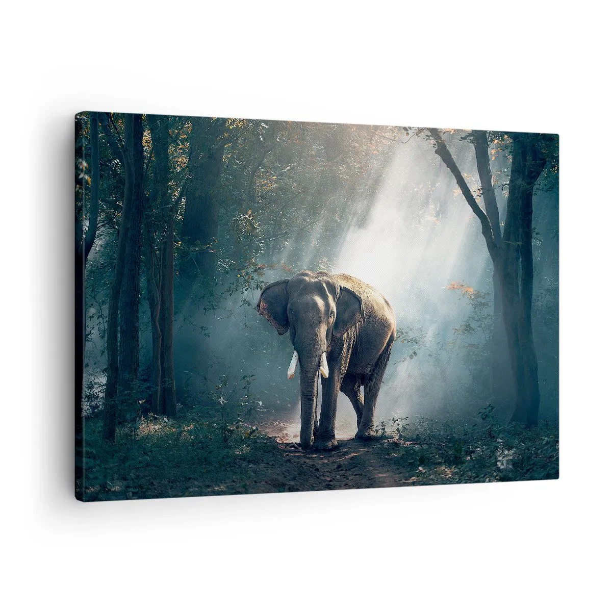 Quadro su tela - Stampe su Tela - Elefante nella luce della foresta - 70x50cm - Tranquilla passeggiata - Decorazione murale moderna per soggiorno e camera da letto ARTTOR