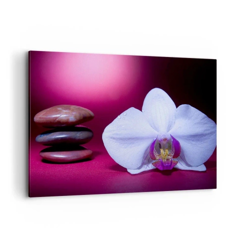 Quadro su tela - Stampe su Tela - Orchidea bianca e pietre su sfondo rosa - 100x70cm - Studio di freschezza in viola - Decorazione murale moderna per soggiorno e camera da letto ARTTOR