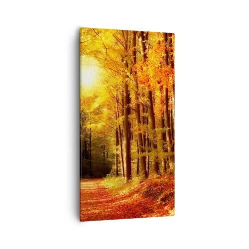 Quadro su tela - Stampe su Tela - Autunno dorato nella via nel bosco - 55x100 cm