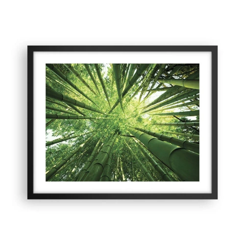 Poster in cornice nera - Nella foresta di bambù - 50x40 cm