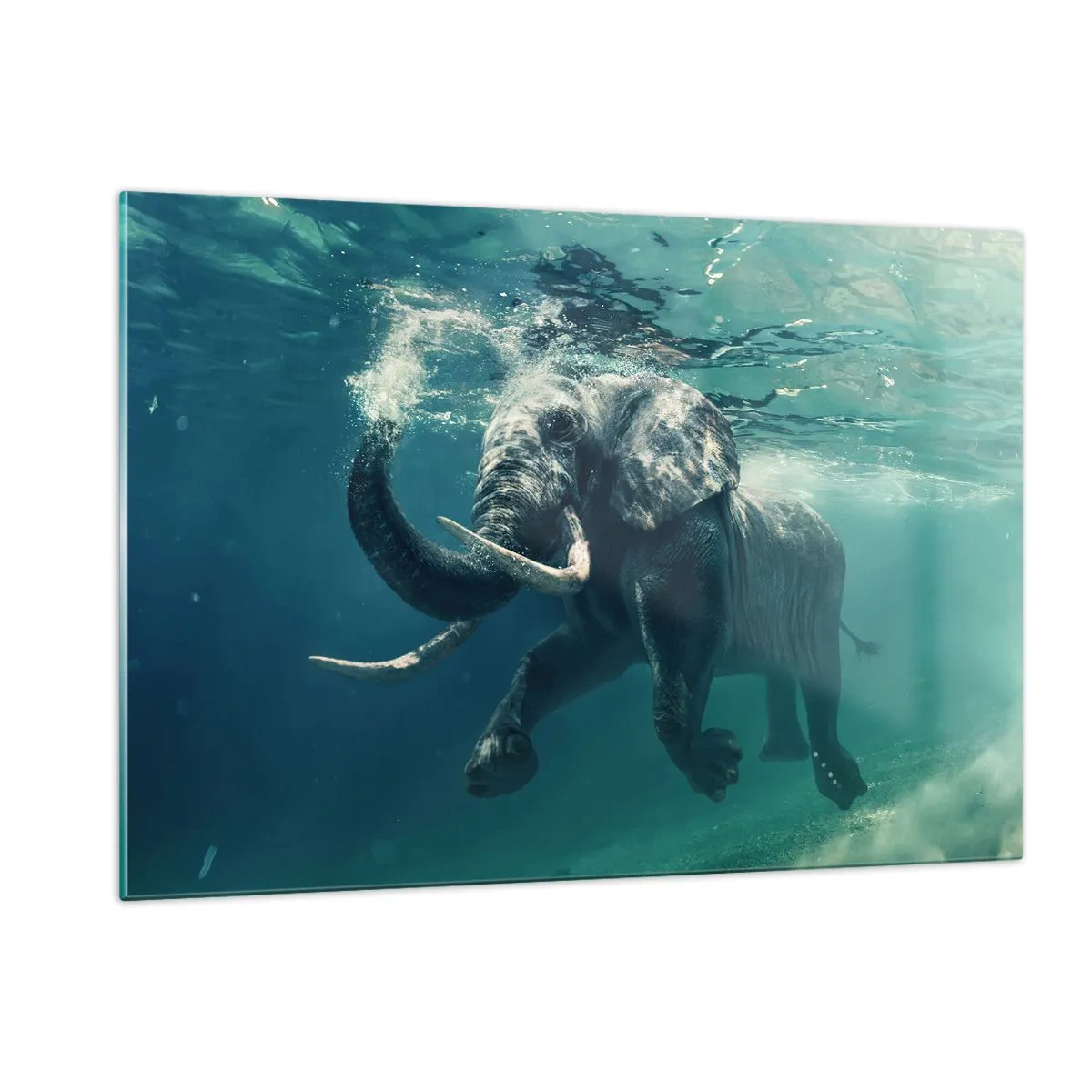 Quadro su vetro - Un elefante che nuota sott'acqua nell'oceano blu - 120x80cm - Tutti amano nuotare - Decorazione murale moderna per soggiorno e camera da letto ARTTOR