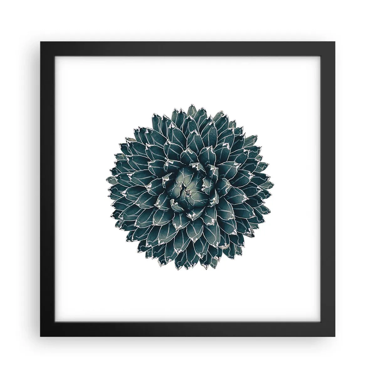 Poster in cornice nera - La stella del deserto - 30x30 cm