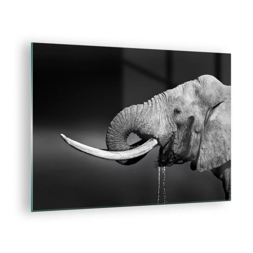 Quadro su vetro - Ritratto in bianco e nero di un elefante con proboscide - 70x50cm - Si, adesso va bene - Decorazione murale moderna per soggiorno e camera da letto ARTTOR