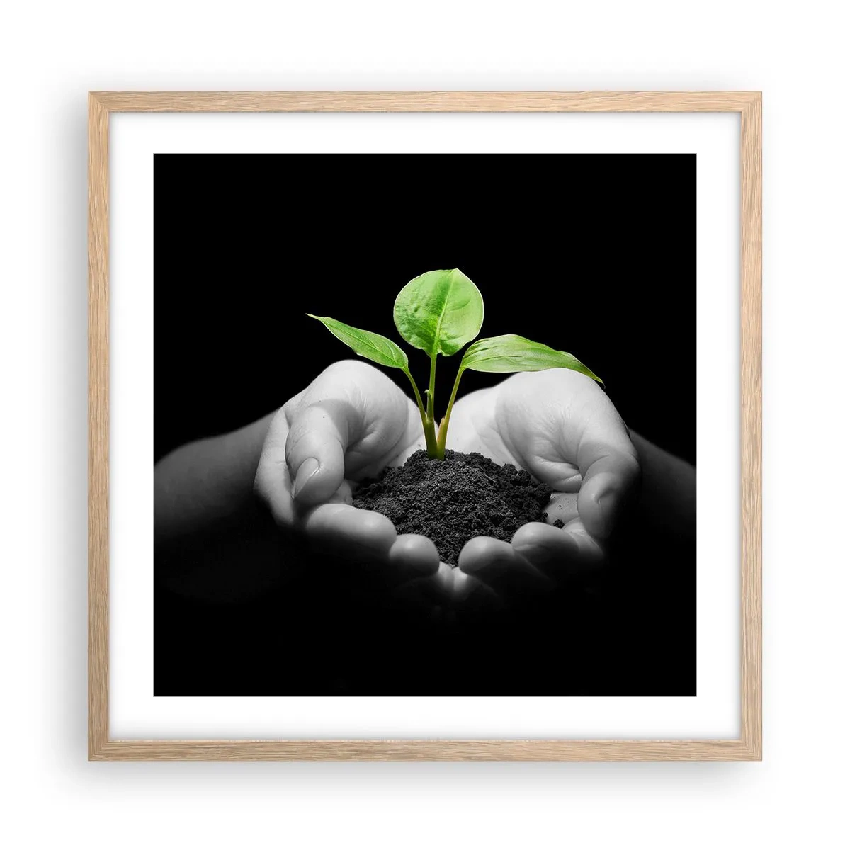 Poster in cornice rovere chiaro - Amo la natura, la proteggo - 50x50 cm