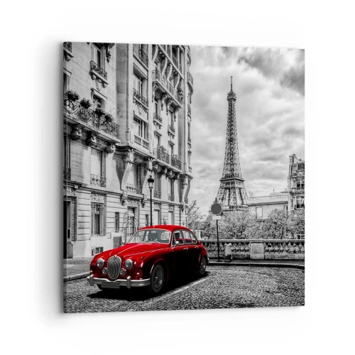 Quadro su tela - Stampe su Tela - Predatore in città - 70x70 cm