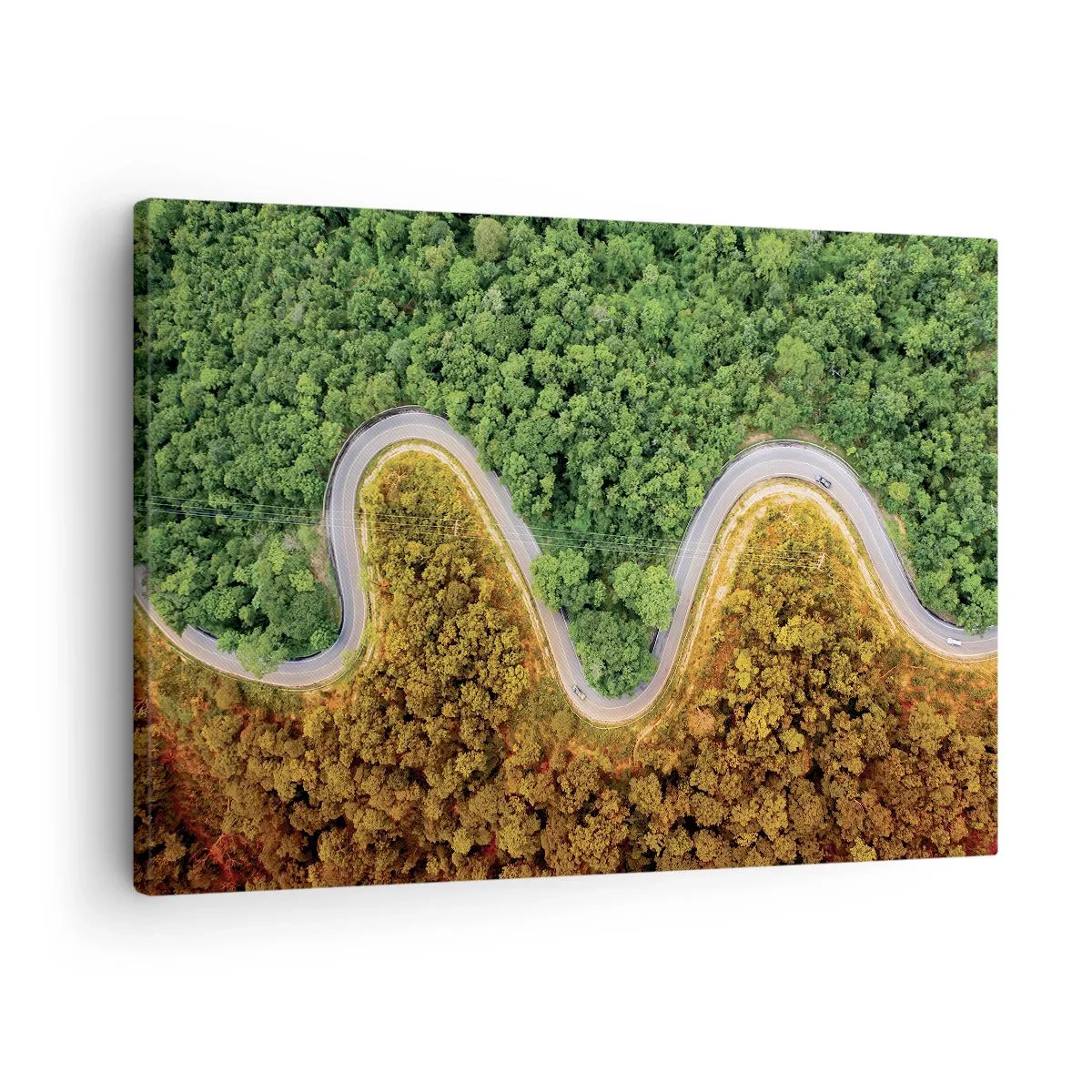 Quadro su tela - Stampe su Tela - Una strada tortuosa attraverso la foresta vista da una prospettiva a volo d'uccello - 70x50cm - Confine e separazione - Decorazione murale moderna per soggiorno e camera da letto ARTTOR