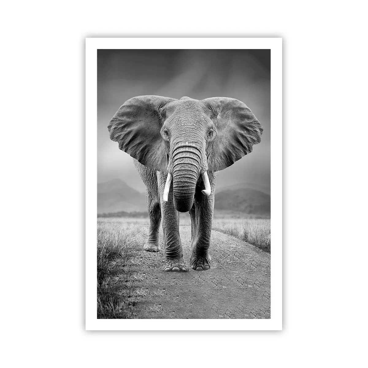 Poster - Il padrone di casa dà il benvenuto - 61x91 cm