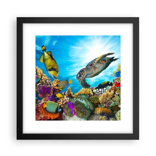 Poster in cornice nera - Passeggiata corallina - 30x30 cm