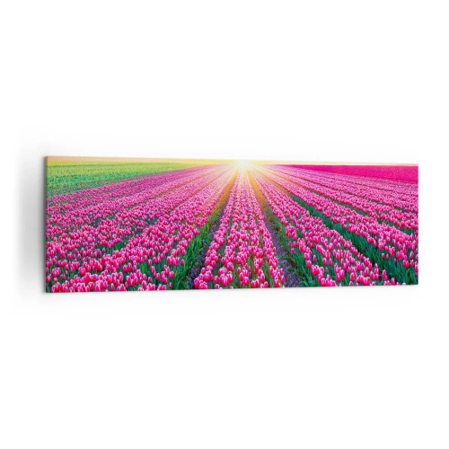 Quadro su tela - Stampe su Tela - Un campo di tulipani al tramonto - 160x50cm - La fattoria della bellezza - Decorazione murale moderna per soggiorno e camera da letto ARTTOR