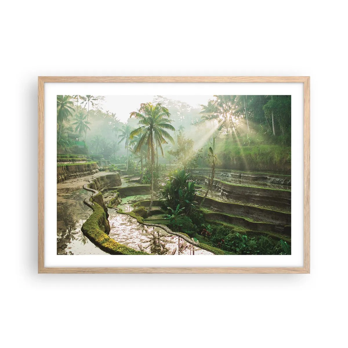 Poster in cornice rovere chiaro - Crescere al sole - 70x50 cm
