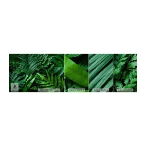 Campione di Fotomurale Adesivo Deluxe Sticker - Avvolti nel verde - Pianta esotica, Foglia di palma, Foglia di Monstera - 100x30 cm
