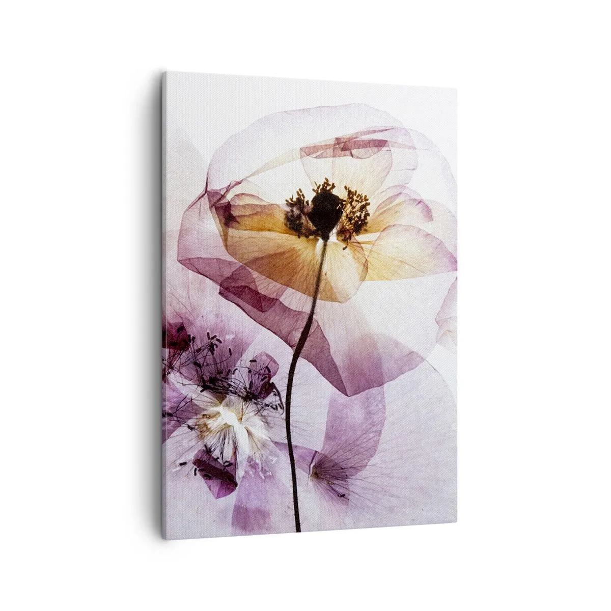 Quadro su tela - Stampe su Tela - Delicati fiori trasparenti in tonalità pastello - 50x70cm - Fiori trasparenti - Decorazione murale moderna per soggiorno e camera da letto ARTTOR