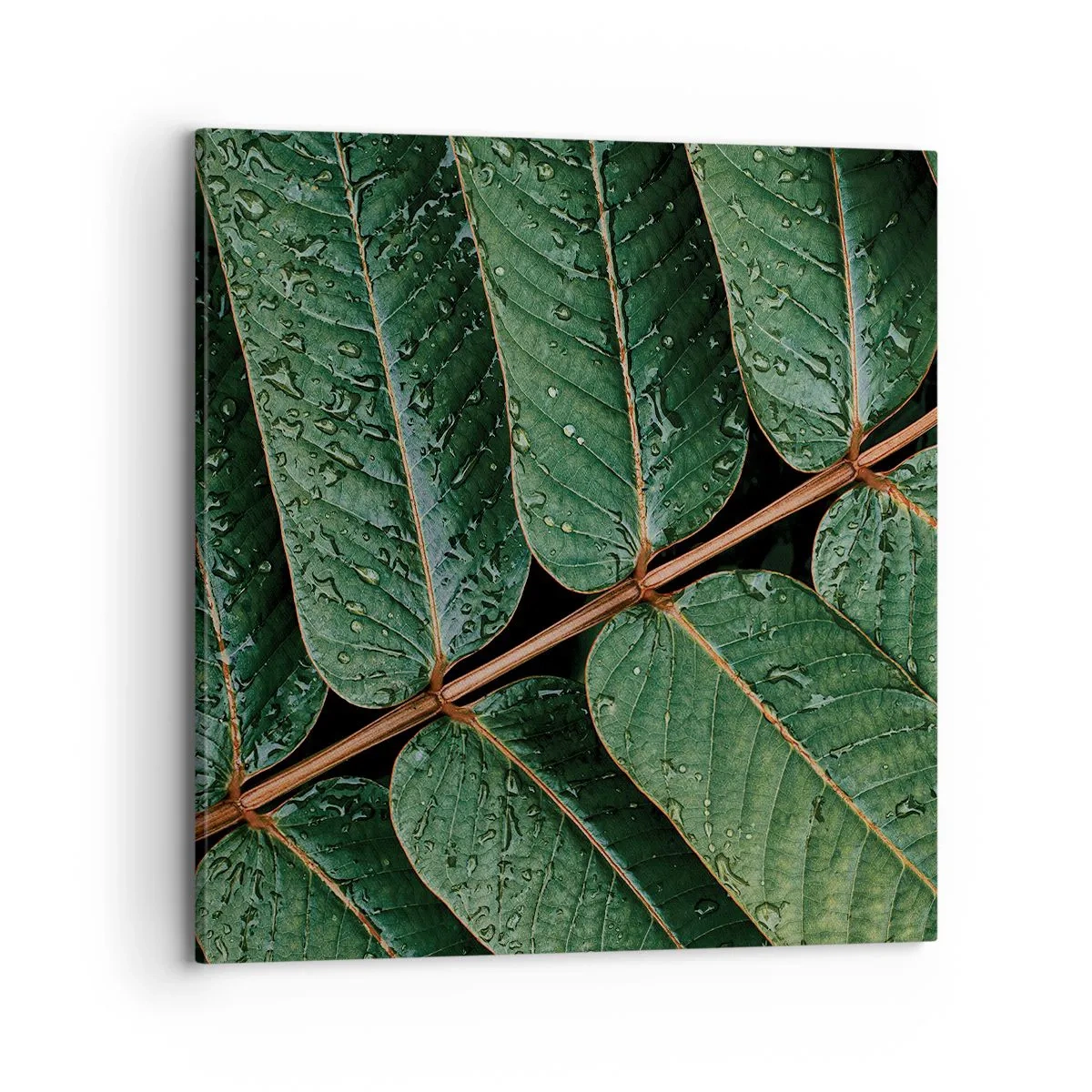 Quadro su tela - Stampe su Tela - Al ritmo verde - 70x70 cm