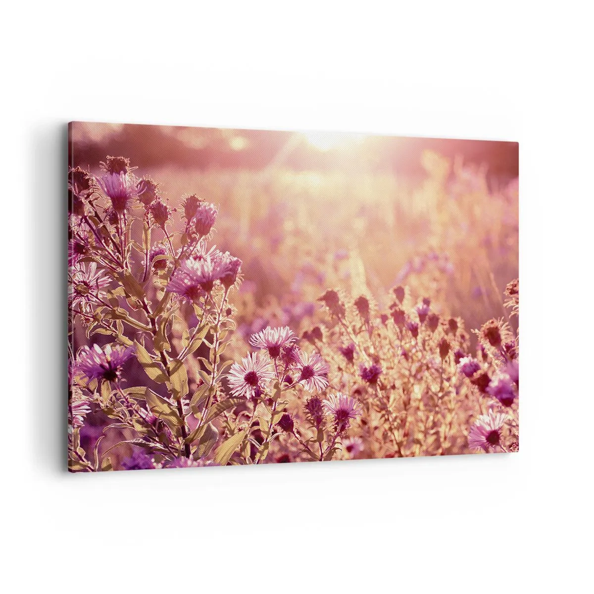 Quadro su tela - Stampe su Tela - Prato alla luce del sole al tramonto - 120x80cm - Prima della fine dell'estate - Decorazione murale moderna per soggiorno e camera da letto ARTTOR