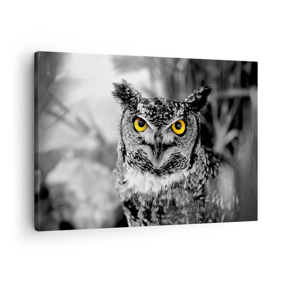 Quadro su tela - Stampe su Tela - Uno scatto in bianco e nero di un gufo con gli occhi gialli - 70x50cm - Non si può nascondere niente - Decorazione murale moderna per soggiorno e camera da letto ARTTOR