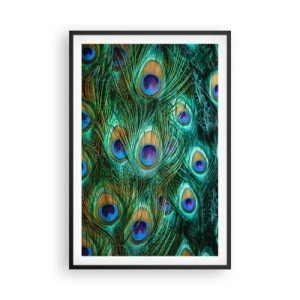 Poster in cornice nera - Lo sguardo del pavone - 61x91 cm